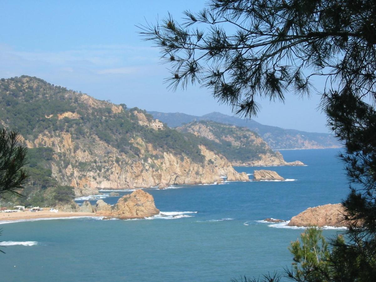 Arts House - Cabrils, Maresme, Barcelona Apartman Kültér fotó